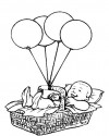 Bebek  (43)