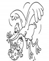 Bebek  (61)
