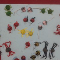 boyama çalişması ve çizgi çalişması (65)