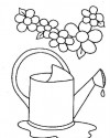 Çiçekler  (13)
