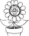 Çiçekler  (17)