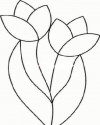 Çiçekler  (25)