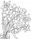 Çiçekler  (30)