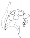 Çiçekler  (31)