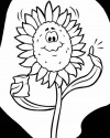 Çiçekler  (34)