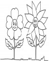 Çiçekler  (39)