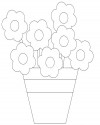 Çiçekler  (4)