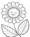 Çiçekler  (43)