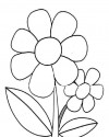 Çiçekler  (45)