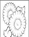 Çiçekler  (49)