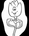 Çiçekler  (56)