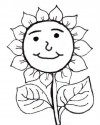 Çiçekler  (57)