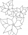 Çiçekler  (62)