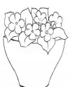Çiçekler  (7)