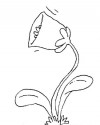 Çiçekler  (70)