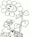 Çiçekler  (8)