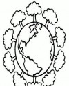 Çiçekler  (83)