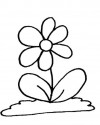 Çiçekler  (86)