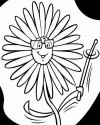 Çiçekler  (88)