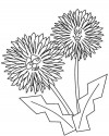 Çiçekler  (9)