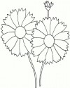 Çiçekler  (90)