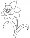Çiçekler  (96)