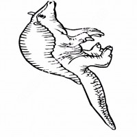 çocuklar-için-hayvan-Armodilla-boyama-sayfası-7