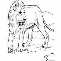 çocuklar-için-hayvan-Aslan-boyama-sayfası-1