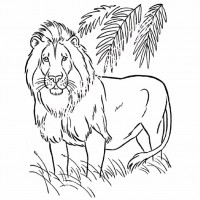 çocuklar-için-hayvan-Aslan-boyama-sayfası-11