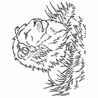çocuklar-için-hayvan-Aslan-boyama-sayfası-4