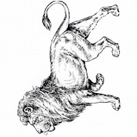 çocuklar-için-hayvan-Aslan-boyama-sayfası-7