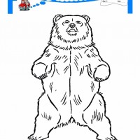 çocuklar-için-hayvan-Ayı-boyama-sayfası-19