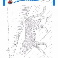 çocuklar-için-hayvan-Çita-boyama-sayfası-24