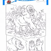 çocuklar-için-hayvan-Goril-boyama-sayfası-10