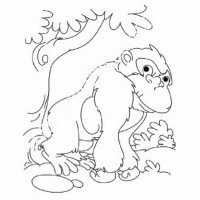 çocuklar-için-hayvan-Goril-boyama-sayfası-27 (1)