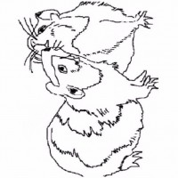 çocuklar-için-hayvan-hayvan-Fare-boyama-sayfası-35