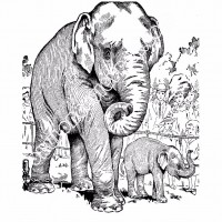 çocuklar-için-hayvan-hayvan-Fil-boyama-sayfası-19