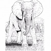 çocuklar-için-hayvan-hayvan-Fil-boyama-sayfası-26