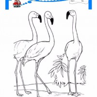 çocuklar-için-hayvan-hayvan-Flamingo-boyama-sayfası-14