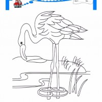 çocuklar-için-hayvan-hayvan-Flamingo-boyama-sayfası-2