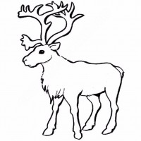 çocuklar-için-hayvan-hayvan-Geyik-boyama-sayfası-30