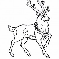 çocuklar-için-hayvan-hayvan-Geyik-boyama-sayfası-37
