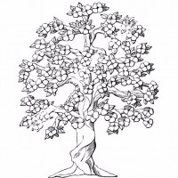 çocuklar-için-mevsimler-ilkbahar-mevsimi-boyama-sayfası-3