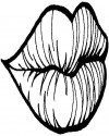 duyu organları (25)