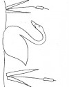 Hayvanlar Boyama (1155)