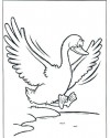 Hayvanlar Boyama (244)