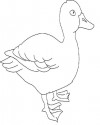 Hayvanlar Boyama (519)