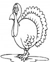 Hayvanlar Boyama (950)