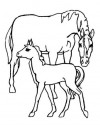 hayvanlar ve yavruları (17)