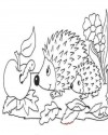 hayvanlar ve yavruları (4)